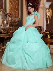Apple Green Ball Gown One Shoulder Floor-length Organza Appliques Quinceanera Dress