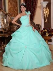 Apple Green Ball Gown One Shoulder Floor-length Organza Appliques Quinceanera Dress