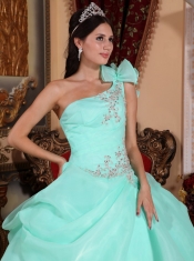 Apple Green Ball Gown One Shoulder Floor-length Organza Appliques Quinceanera Dress