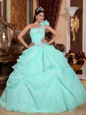 Apple Green Ball Gown One Shoulder Floor-length Organza Appliques Quinceanera Dress
