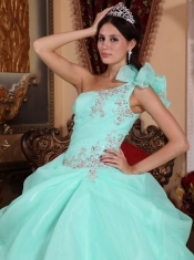 Apple Green Ball Gown One Shoulder Floor-length Organza Appliques Quinceanera Dress
