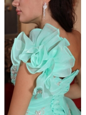 Apple Green Ball Gown One Shoulder Floor-length Organza Appliques Quinceanera Dress