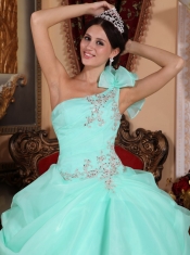 Apple Green Ball Gown One Shoulder Floor-length Organza Appliques Quinceanera Dress