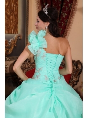 Apple Green Ball Gown One Shoulder Floor-length Organza Appliques Quinceanera Dress