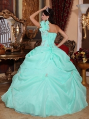 Apple Green Ball Gown One Shoulder Floor-length Organza Appliques Quinceanera Dress
