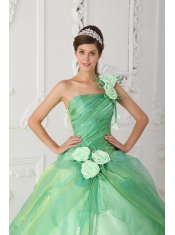 Apple Green Ball Gown One Shoulder Floor-length Organza Beading and Hand Made Flowers Quinceanera Dress