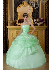 Apple Green Ball Gown Strapless Floor-length Organza Beading Ruch Sweet 16 Dress