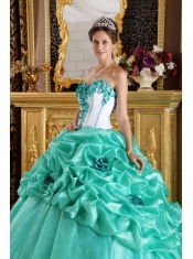 Apple Green Sweetheart Ball Gown Floor-length Organza Hand Made Flowers Quinceanera Dress