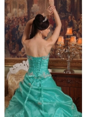 Turquoise Ball Gown Sweetheart Floor-length Appliques Organza Quinceanera Dress
