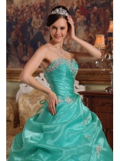 Turquoise Ball Gown Sweetheart Floor-length Appliques Organza Quinceanera Dress