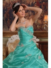Turquoise Ball Gown Sweetheart Floor-length Appliques Organza Quinceanera Dress