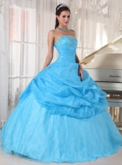 Baby Blue Ball Gown Strapless Floor-length Organza Appliques Quinceanera Dress