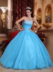 Baby Blue Ball Gown Strapless Floor-length Organza Appliques Quinceanera Dress