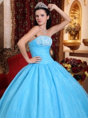 Baby Blue Ball Gown Strapless Floor-length Organza Appliques Quinceanera Dress