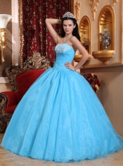 Baby Blue Ball Gown Strapless Floor-length Organza Appliques Quinceanera Dress