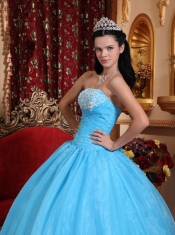 Baby Blue Ball Gown Strapless Floor-length Organza Appliques Quinceanera Dress