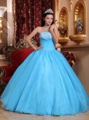 Baby Blue Ball Gown Strapless Floor-length Organza Appliques Quinceanera Dress