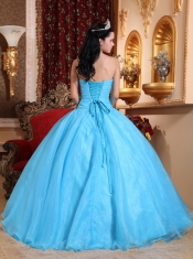 Baby Blue Ball Gown Strapless Floor-length Organza Appliques Quinceanera Dress