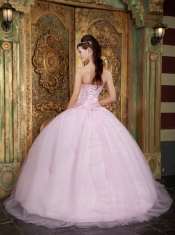 Baby Pink Ball Gown Sweetheart Floor-length Tulle Appliques Quinceanera Dress