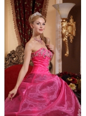 Black and Hot Pink Ball Gown Sweetheart Floor-length Organza Beading and Appliques Quinceanera Dress