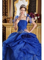 Blue Ball Gown Spaghetti Straps Floor-length Organza Appliques Quinceanera Dress