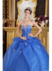 Blue Ball Gown Sweetheart Floor-length Organza Appliques Quinceanera Dress