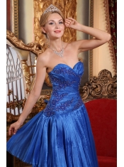 Blue Column / Sheath Sweetheart Floor-length Organza Appliques Prom Dress