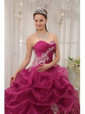 Burgundy Ball Gown Sweetheart Floor-length Organza and Leopard Appliques Quinceanera Dress