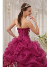Burgundy Ball Gown Sweetheart Floor-length Organza and Leopard Appliques Quinceanera Dress