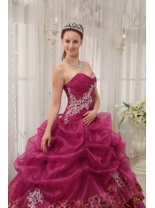 Burgundy Ball Gown Sweetheart Floor-length Organza and Leopard Appliques Quinceanera Dress