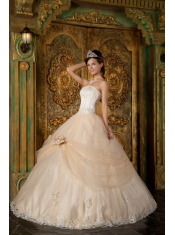 Champagne Ball Gown Strapless Floor-length Appliques Tulle Quinceanera Dress