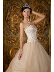 Champagne Ball Gown Strapless Floor-length Appliques Tulle Quinceanera Dress