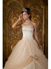 Champagne Ball Gown Strapless Floor-length Appliques Tulle Quinceanera Dress