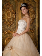 Champagne Ball Gown Strapless Floor-length Appliques Tulle Quinceanera Dress