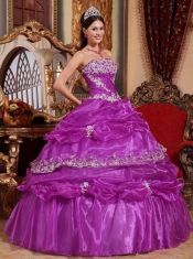 Elegant Ball Gown Strapless Floor-length Organza Appliques Quinceanera Dress