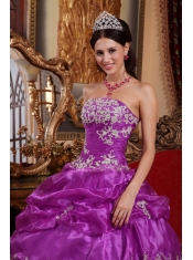 Elegant Ball Gown Strapless Floor-length Organza Appliques Quinceanera Dress