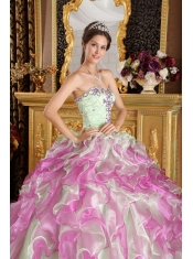 Fuchsia and Apple Green Ball Gown Sweetheart Floor-length Organza Appliques Quinceanera Dress