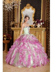 Fuchsia and Apple Green Ball Gown Sweetheart Floor-length Organza Appliques Quinceanera Dress