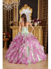 Fuchsia and Apple Green Ball Gown Sweetheart Floor-length Organza Appliques Quinceanera Dress