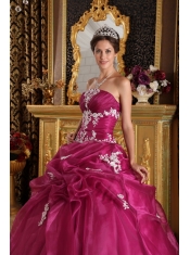 Fuchsia Ball Gown Strapless Floor-length Organza and Satin Appliques Quinceanera Dress