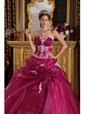 Fuchsia Ball Gown Strapless Floor-length Organza and Satin Appliques Quinceanera Dress