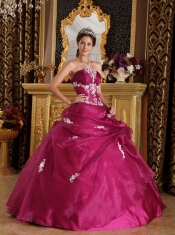 Fuchsia Ball Gown Strapless Floor-length Organza and Satin Appliques Quinceanera Dress
