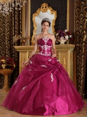 Fuchsia Ball Gown Strapless Floor-length Organza and Satin Appliques Quinceanera Dress