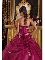 Fuchsia Ball Gown Strapless Floor-length Organza and Satin Appliques Quinceanera Dress