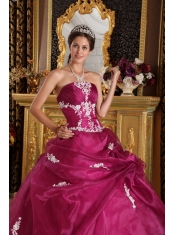 Fuchsia Ball Gown Strapless Floor-length Organza and Satin Appliques Quinceanera Dress