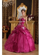 Fuchsia Ball Gown Strapless Floor-length Organza and Satin Appliques Quinceanera Dress