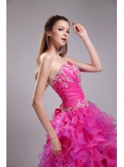 Fuchsia Ball Gown Sweetheart Floor-length Orangza Appliques Quinceanera Dress