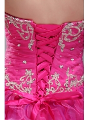 Fuchsia Ball Gown Sweetheart Floor-length Orangza Appliques Quinceanera Dress