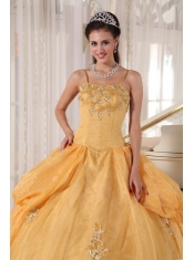 Gold Ball Gown Spaghetti  Straps Floor-length Taffeta and Organza Appliques Quinceanera Dress