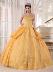 Gold Ball Gown Spaghetti Straps Floor-length Taffeta and Organza Appliques Quinceanera Dress